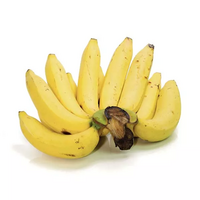 5 banane(s) plantain