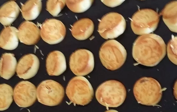48 Crêpes Soufflées