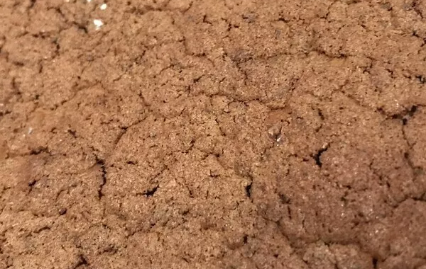 Gâteau aux Chocolat "La Table de Clara"