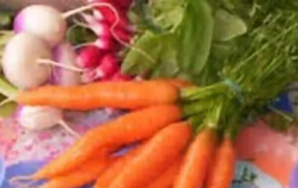 VELOUTE CAROTTE NAVET