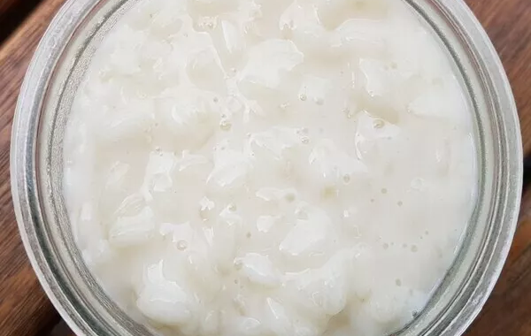 Riz au lait
