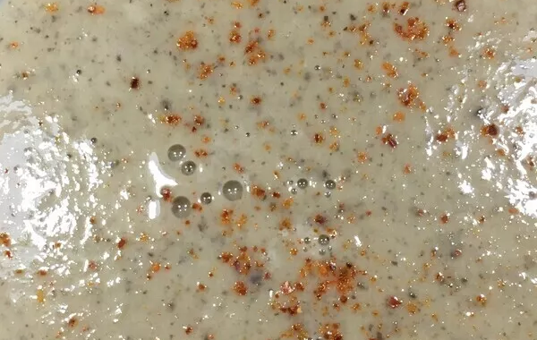 velouté de champignon