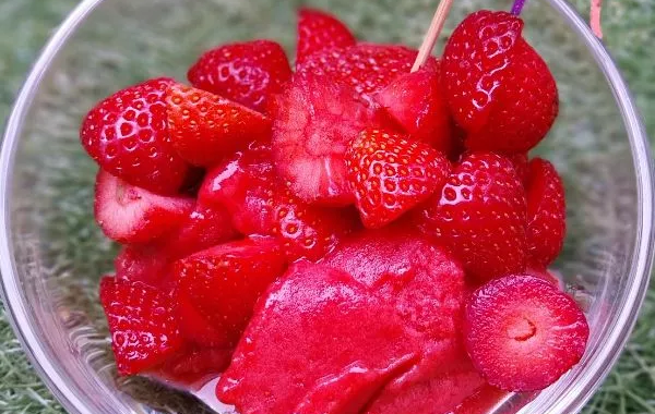Sorbet Fraises