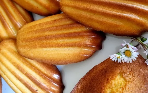 MADELEINES DE COMMERCY XXL