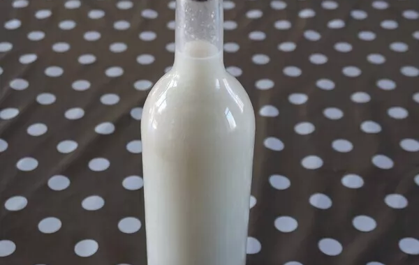 Lait d'avoine