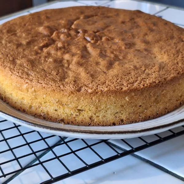 Gâteau douceur 🎂✨ 