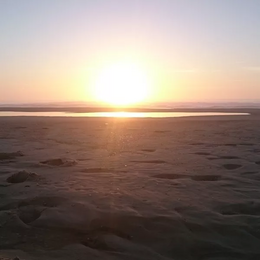 francoisec_dd21