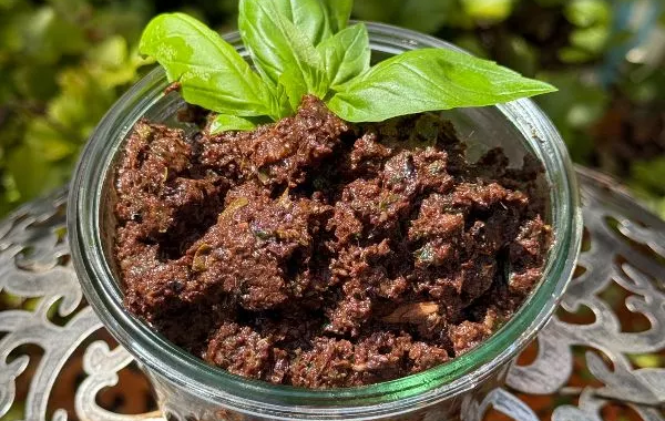 Tapenade olive noire