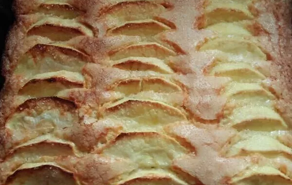 Délice aux pommes en 4 temps dans le moule Tablette FM 497