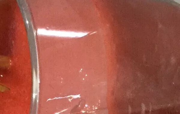 Mi-cuit de fraises ligth