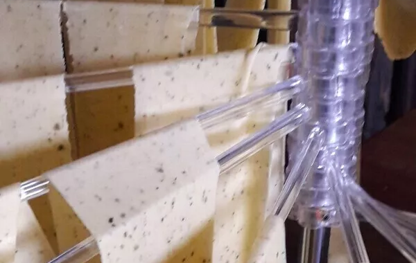 Sev : Pâte fraîche à l'ail des ours